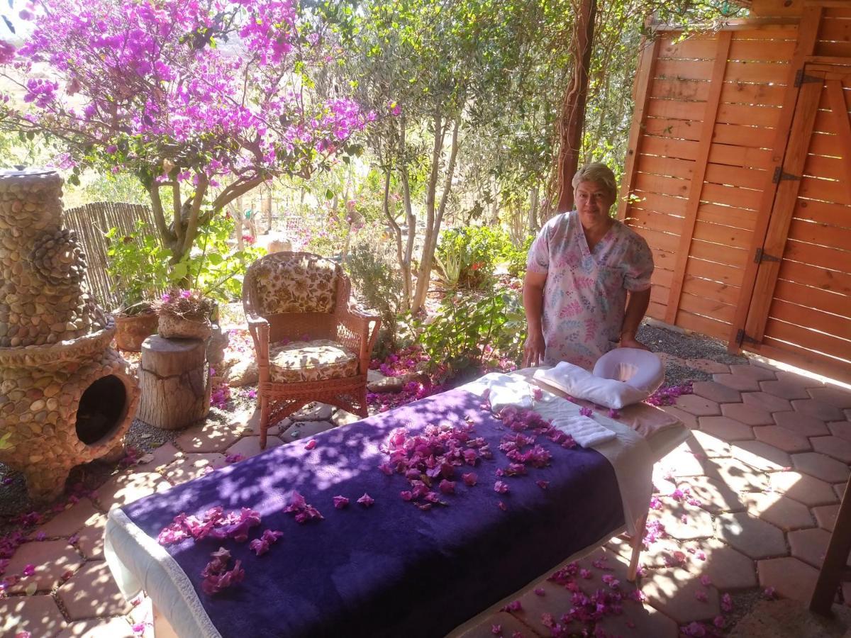 Vinofilia Wine Country Inn Valle de Guadalupe Dış mekan fotoğraf