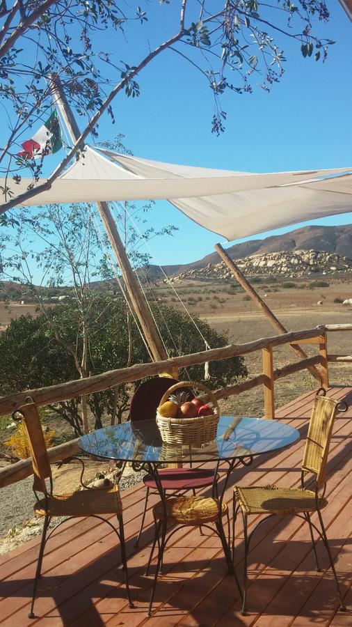 Vinofilia Wine Country Inn Valle de Guadalupe Dış mekan fotoğraf