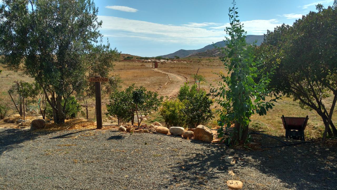 Vinofilia Wine Country Inn Valle de Guadalupe Dış mekan fotoğraf