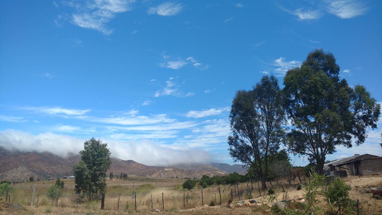 Vinofilia Wine Country Inn Valle de Guadalupe Dış mekan fotoğraf